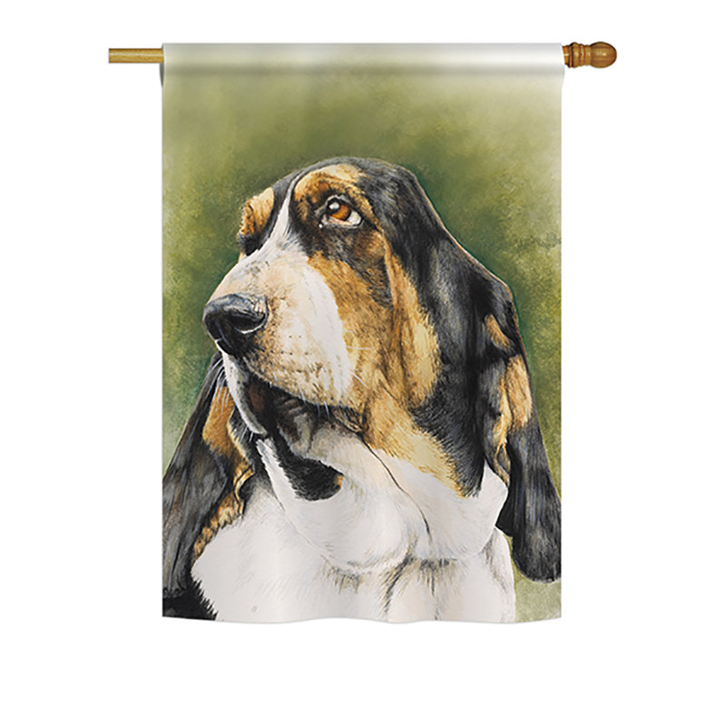 Basset hound nature quotidienne animaux à 2 côtés polyester 40 x 28 po drapeau maison