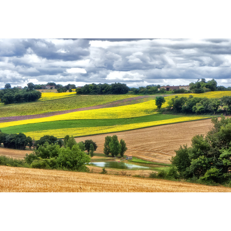 Pastoral Countryside VIII by Colby Chester - Photograph Print, 61cm H x 91cm W, Wrapped Canvas