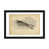 Black Framed Fine Art Paper is unavailable
