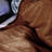 Throw Blanket-1115778946-1115778947