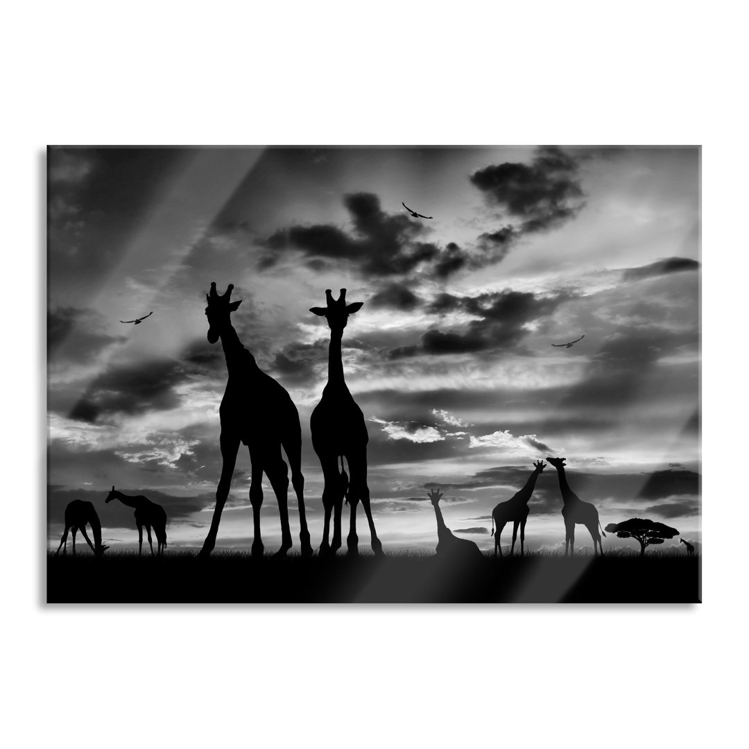 Glasbild Afrikanische Giraffen im Sonnenuntergang