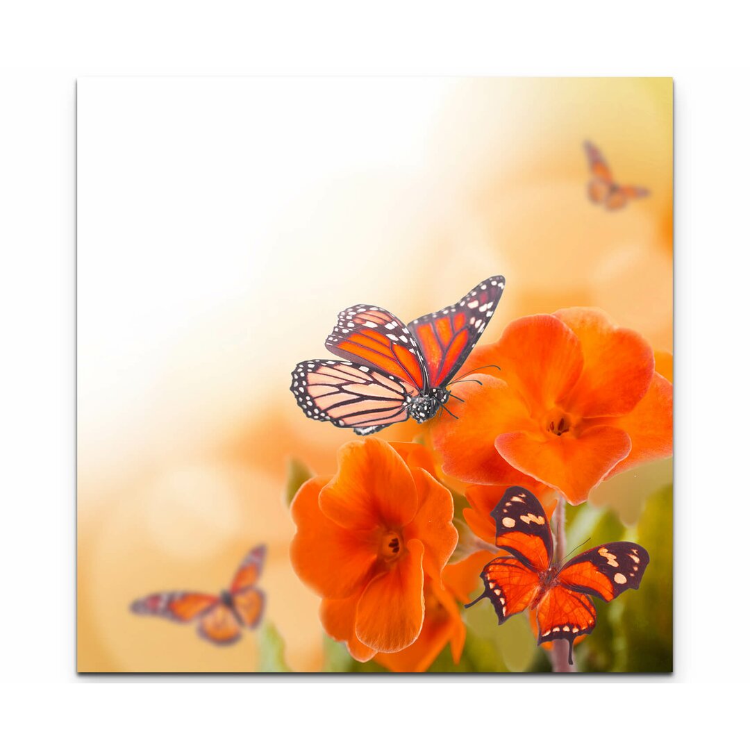 Leinwandbild Orangene Blumen mit Schmetterlingen