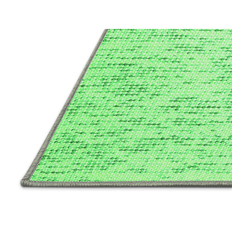 Washable Indoor Rug, Rectangle 2' x 4'