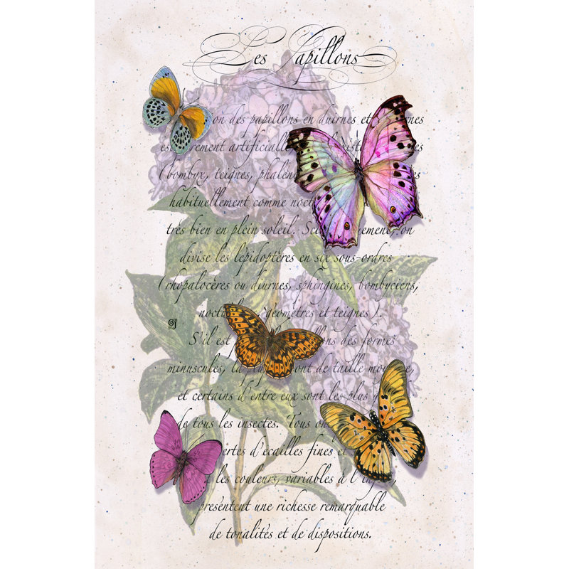 Hydrangea Butterflies II by Ginny Joyner - Wrapped Canvas Print, 76cm H x 51cm W x 3.8cm D