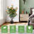 40 " H Faux Tree in Plastic and Cement Pot