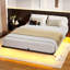 Zoller Floating Bed with LED & Charging Station, Modern Metal Platform Bed, No Box Spring Needed-1586244080