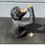 Statue boozy chimpanzé