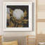 " Cotton Balls I " Painting Print-1708307251-1708307260