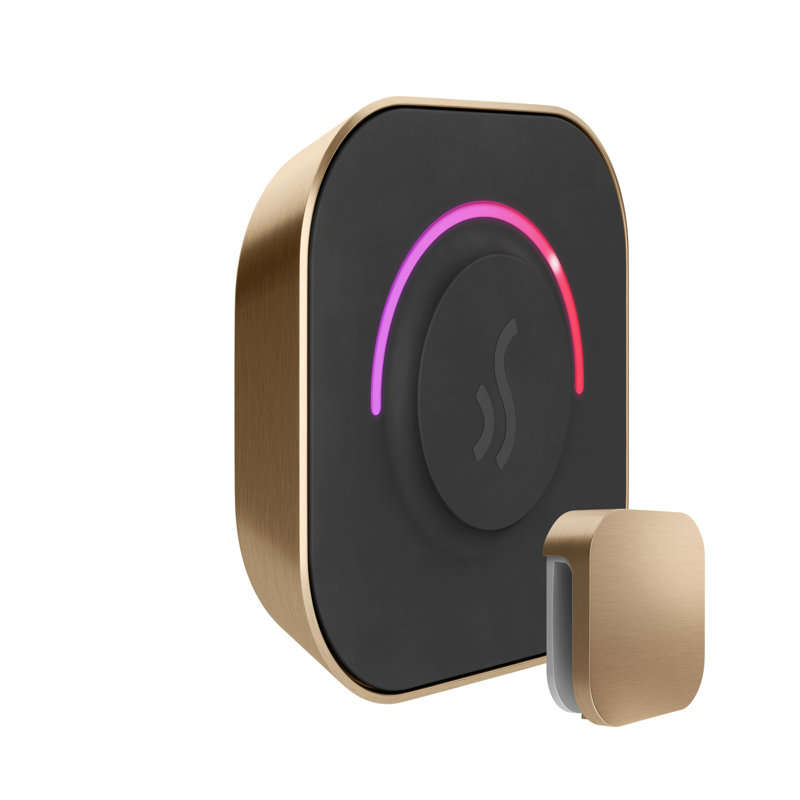 Tempotouch steam shower control and steamhead , Brushed Bronze