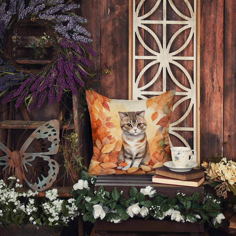 Coussin Scottish Fold, Carré 14 po