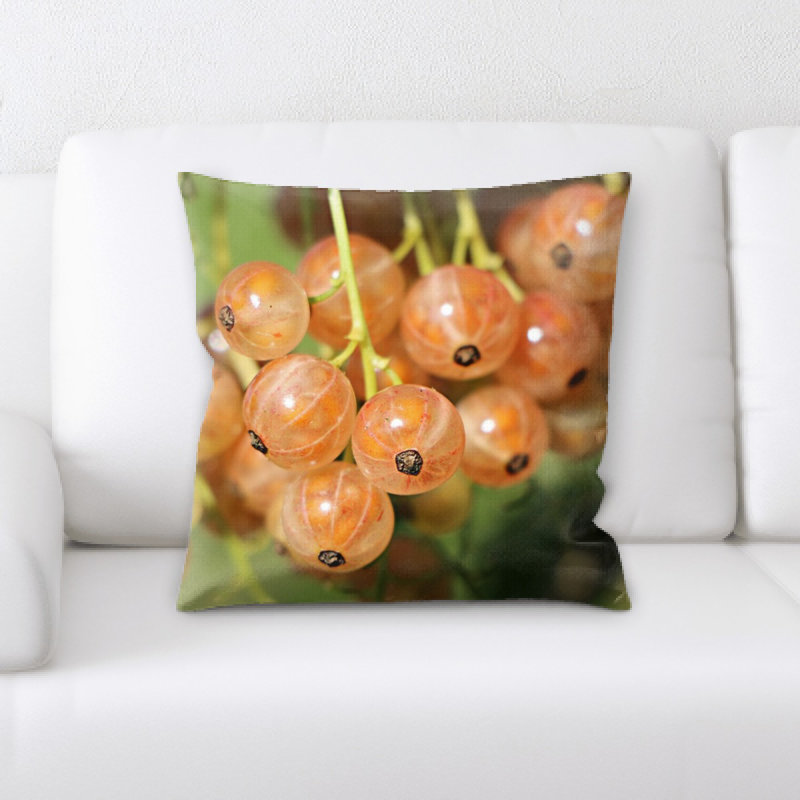 Coussin currant