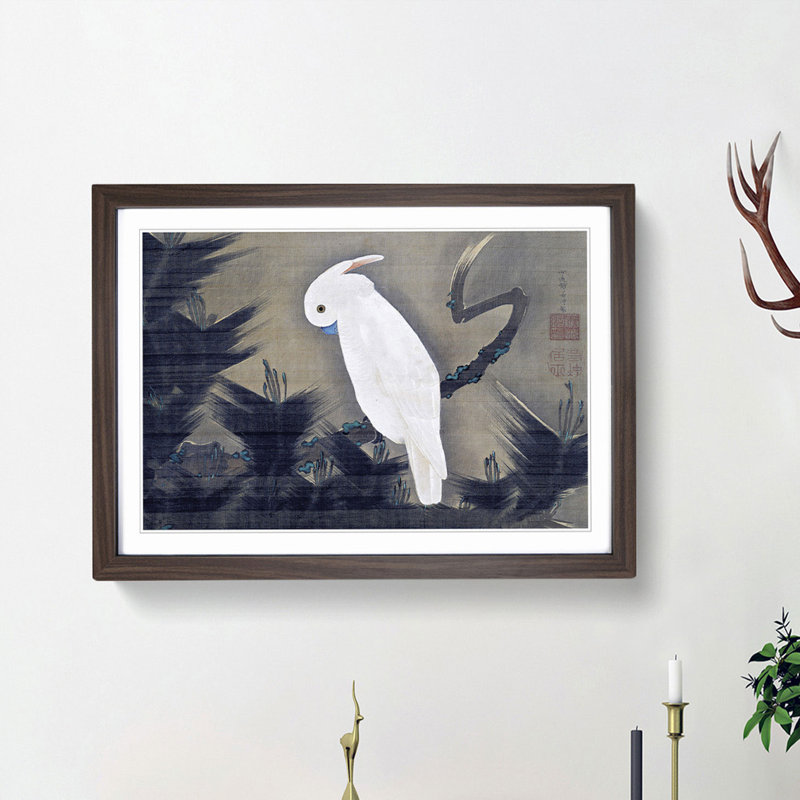 White Cockatoo on a Pine Branch by Ito Jakuchu - Picture Frame Art Prints on MDF, 36cm H x 48cm W x 2cm D, Walnut Framed