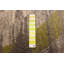 Tapis abstrait ivoire / vert Haslam-445038144