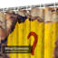 Autumn Leaf Wooden Question Sign Nature Shower Curtain with 12 Hooks-577679508