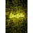 Flexible Neon LED Strip Lights, Waterproof IP67, Yellow Color, 12V DC, 14.6 x 6.7 x 0.8 inches | PVC Foam Template, 375 cm Cord Length, 350 Lumens, 4200K | Perfect for Decorative Lighting in Home & Events-1727682218