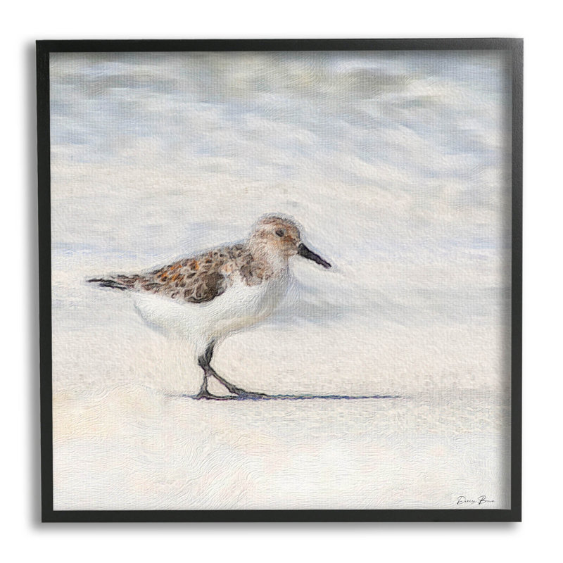 «Sandpiper Bird», plage de sable encadrée, estampe numérique par Denise Brown_aq-474, H 17 po x l 17 po x P 1,5 po