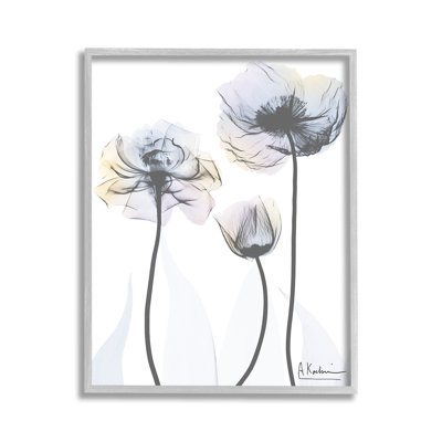 Coquelicot