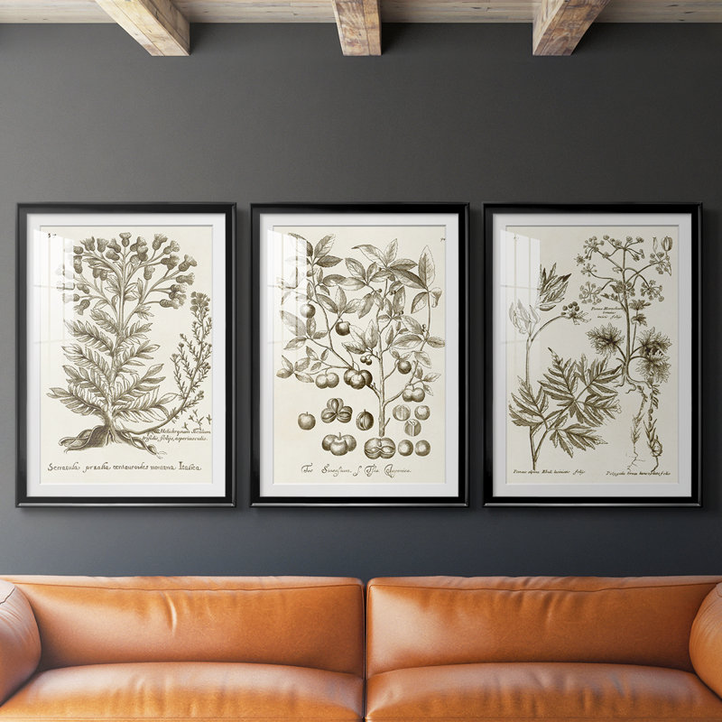 Sépia Botanical Journal I - Impression encadrée sur mesure de qualité supérieure - 3 pièces, H 19 po x l 27 po
