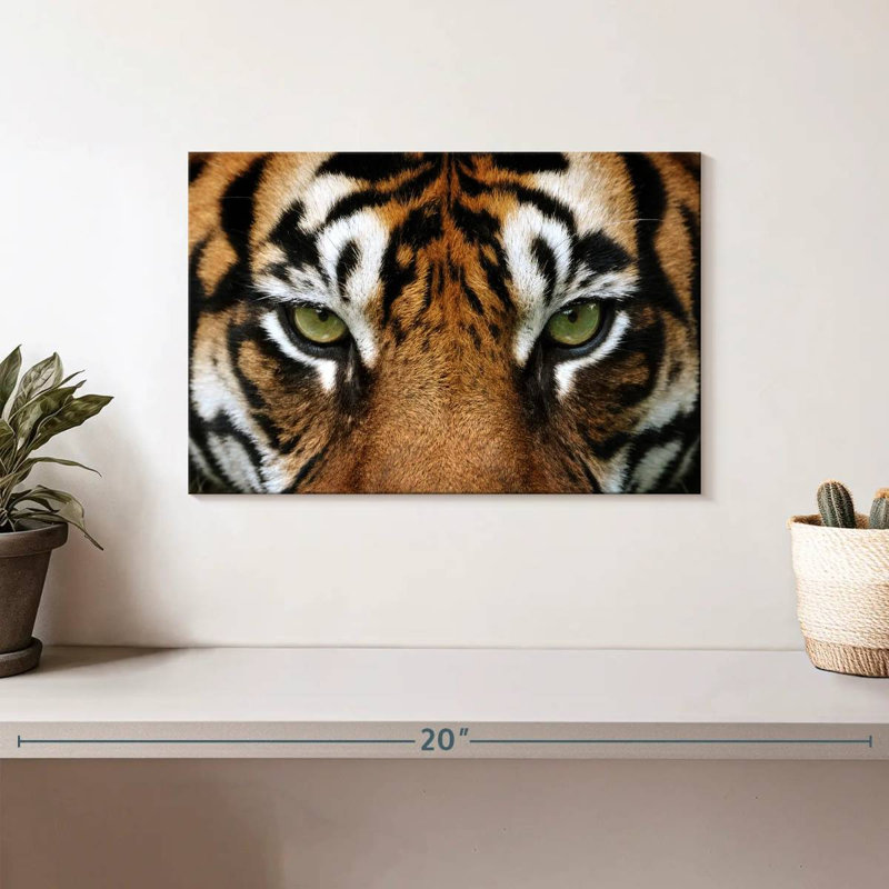 Regard d'un tigre, H 8 po x l 12 po