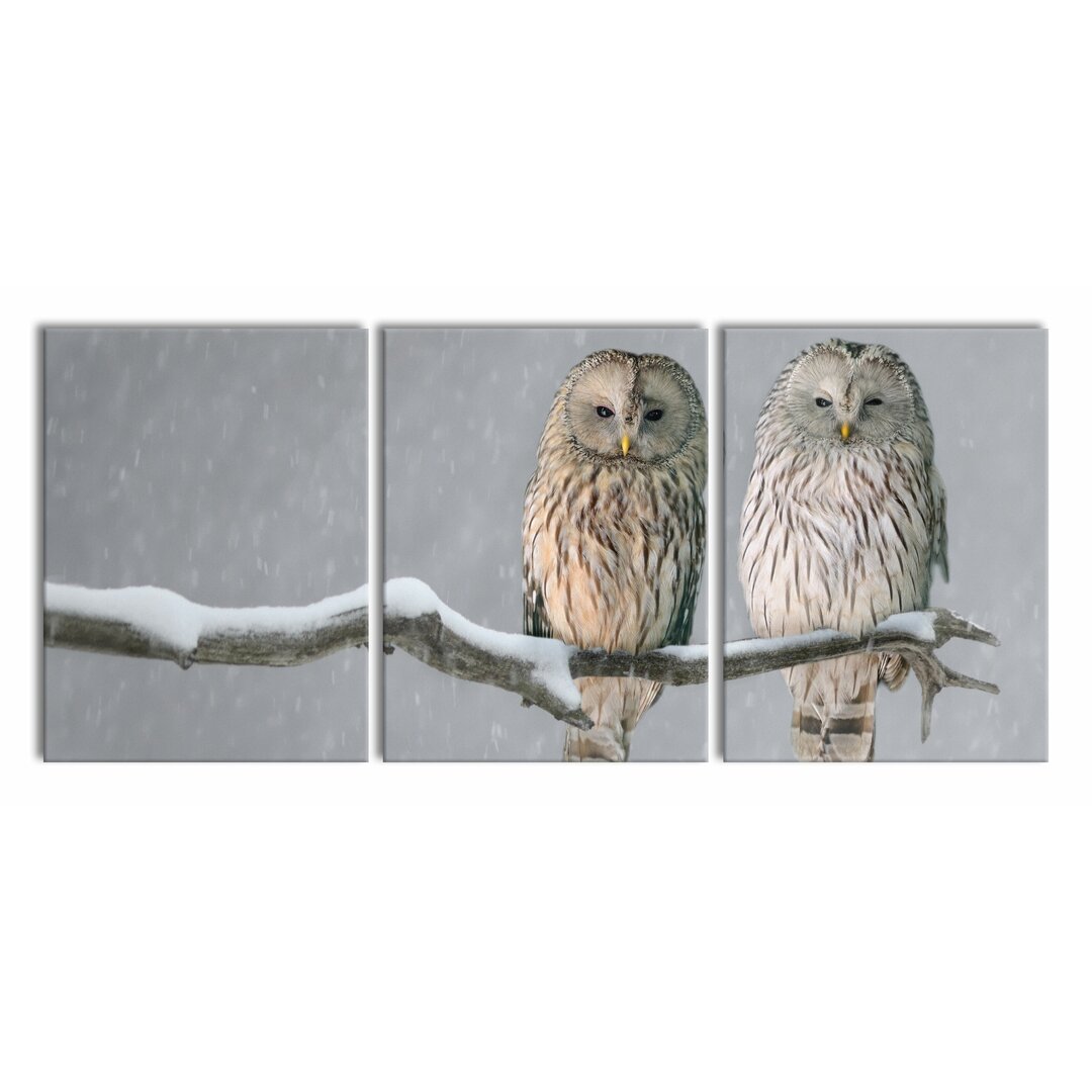 3-tlg. Leinwandbilder-Set Two Owls on a Winter Landscape