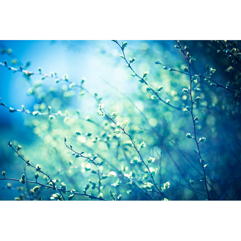 Spring Background by Jasmina007 - Wrapped Canvas Print, 20cm H x 30cm W x 3.8cm D