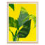 Untitled Print by Jones, Emma-1241434523-1241434520