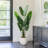 Oakgrove Fake Plants Faux Banana Leaf Tree Bird Of Paradise in Black Plastic Pot-835986641-835986640