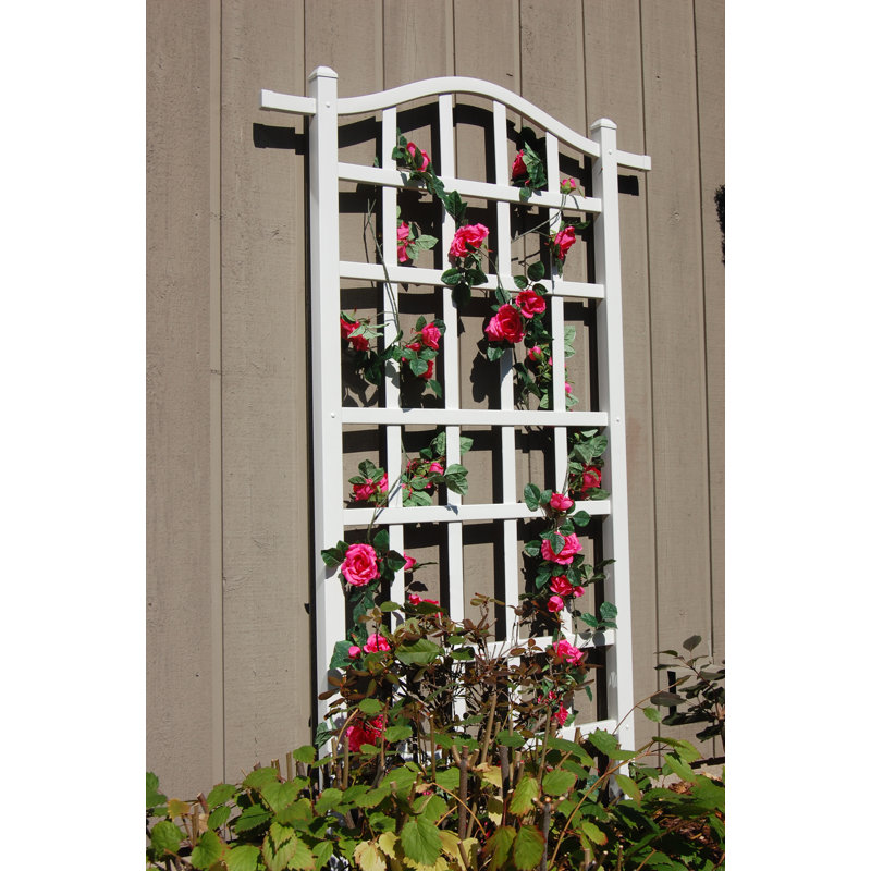 Kersam 75'' H x 35'' W Vinyl Lattice Panel Trellis, White
