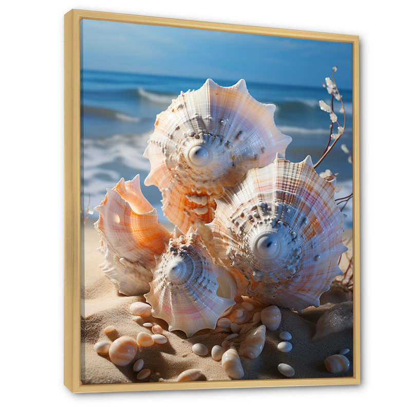 Impression sur toile Seashells On Dreamy Tide I, H 32 po x l 24 po x P 1 po, Cadre naturel flottant