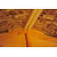10 ft. W x 20 ft. D Garden Value Overlap Shed-33434241