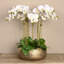 Orchid Floral Arrangement in Planter-249749295-249749282-249749293