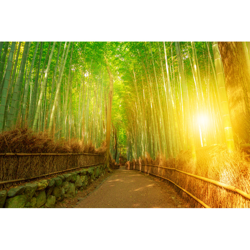 Calpella Calpella Bamboo Grove, Arashiyama, Kyoto - Wrapped Canvas Print, 20cm H x 30cm W x 3.8cm D