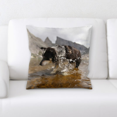Coussin pour chien