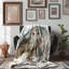  Couverture Owl's Dreamy Palette-1497262945