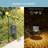 6.7'' Solar Powered Integrated LED Cylinder Lantern