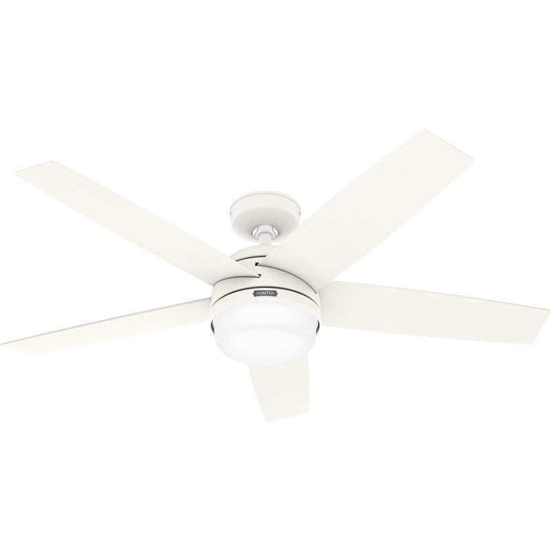 Hunter 52 inch Damp Rated Ceiling Fan with LED Light Kit and Handheld Remote, White, Fresh White/Light Gray Oak
