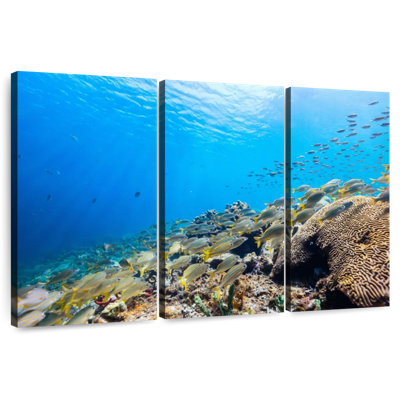 Aletra St. Lucia Ocean Life