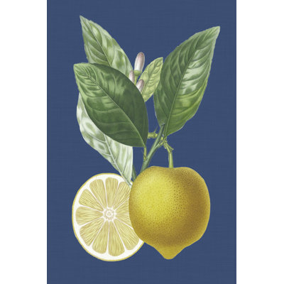 French Lemon on Navy II by A. Risso - Painting