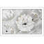 «Silver Sun Garden» par - Peinture-572881607-572881613