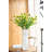 Pompon Arrangement-364754180