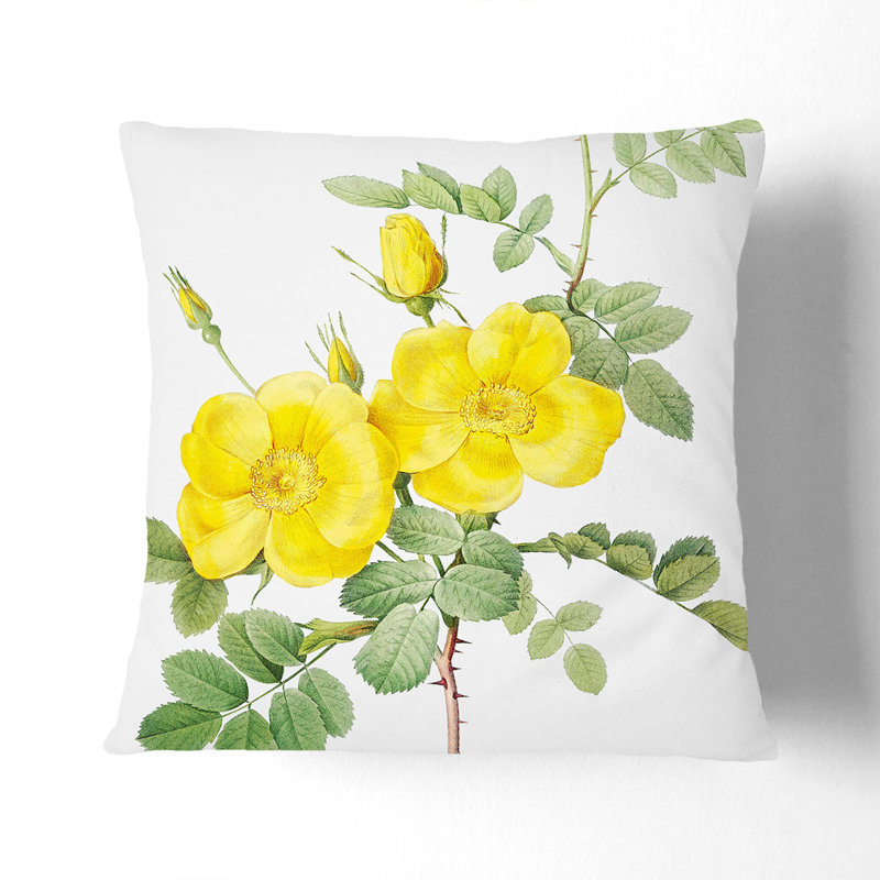 Square Throw Cushion, 55cm H x 55cm W x 20cm D