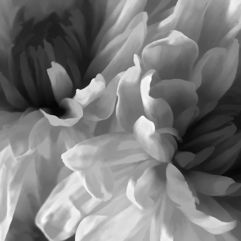 «Black and White Abstract Floral», impression sur toile tendue, H 12 po x l 12 po x P 1,25 po