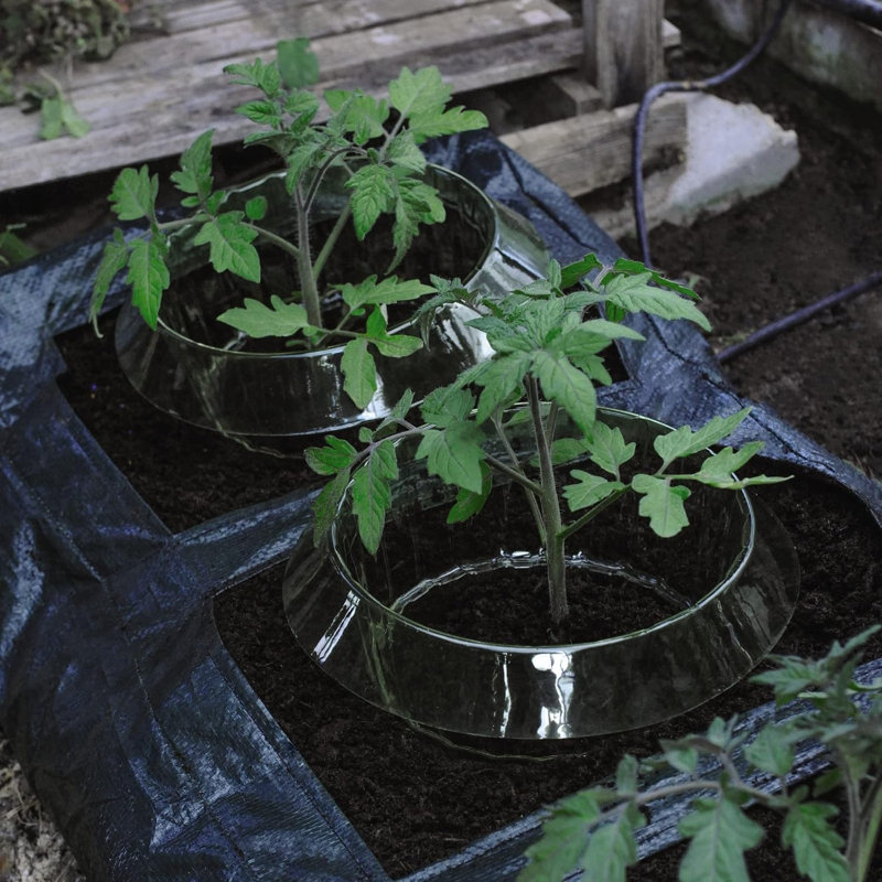 Plant Stand, Green x12