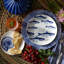 Shells Small Plates