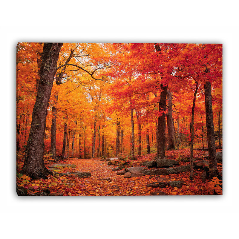 «Autumn Forest Path», reproduction d'art sur toile tendue, H 36 po x l 48 po