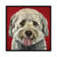«Bentley the Havese», impression sur toile-32500534-72126792