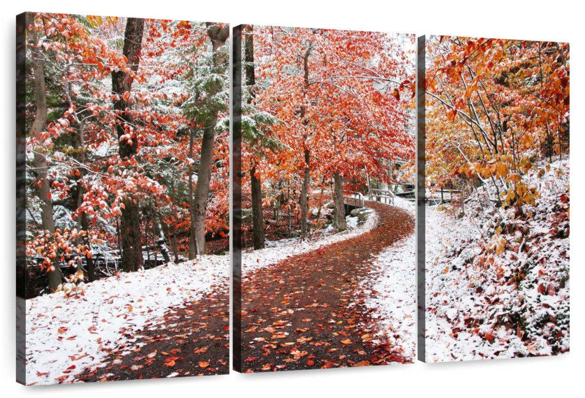 Millwood Pines Alvord Autumn And Winter Forest | Wayfair