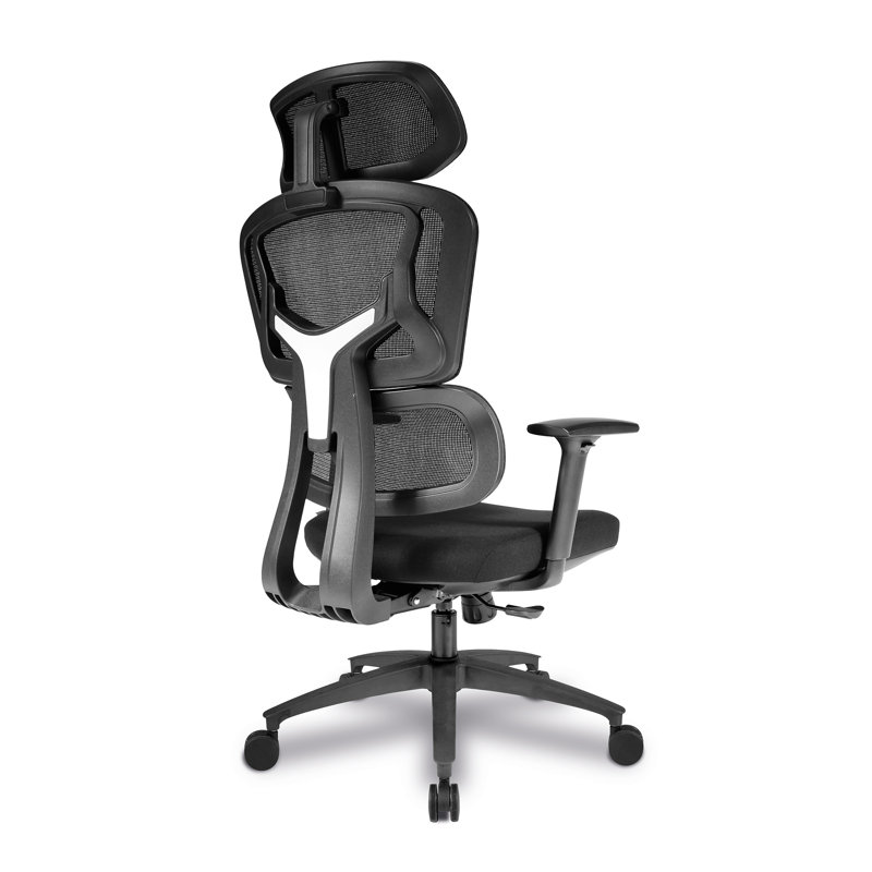 Dansfield Mesh Office Chair