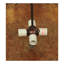 Mountain Pine 8 - Light Chandelier-1876458110