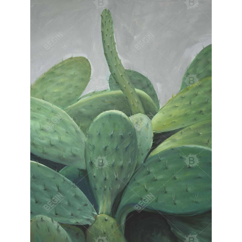 Ensemble de cactus - art sur toile botanique pour la décoration intérieure